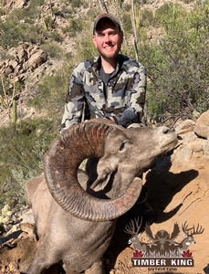 Sean Whipple's free range Desert Bighorn sheep taken in Sonora, Mexico.